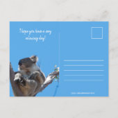 Verjaardag als een Koala, Grappige Blauwe Ansichtk Briefkaart (Achterkant)