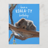 Verjaardag als een Koala, Grappige Blauwe Ansichtk Briefkaart (Voorkant)