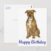 Verjaardag Amerikaanse Staffordshire Terrier Post  Briefkaart (Voorkant / Achterkant)