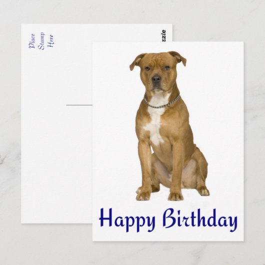 Verjaardag Amerikaanse Staffordshire Terrier Post  Briefkaart (Voorkant / Achterkant)