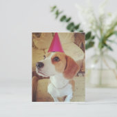 Verjaardag Beagle briefkaart (Staand voorkant)