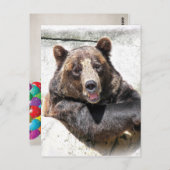 Verjaardag Beer Feest Uitnodiging (Voorkant / Achterkant)