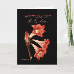 Verjaardag Belladonna Lily Kaart