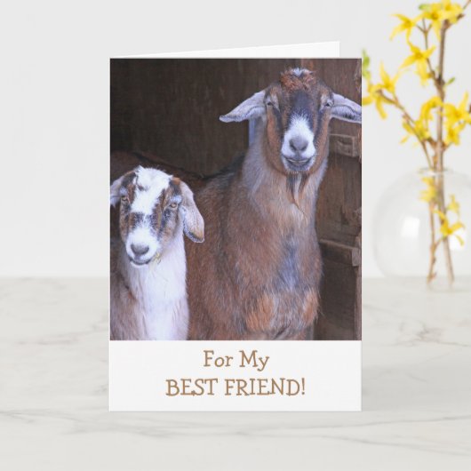 Verjaardag beste vriendin met schattige geiten kaart (Gele Bloem)