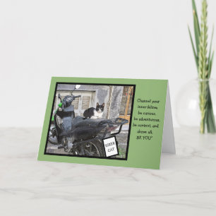 VERJAARDAG/BIKER KAT/ AANKONDIGING