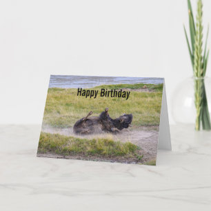 Verjaardag Bizon Wallow Yellowstone National Park Kaart