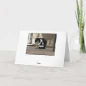 Verjaardag, Black N White Cat Kaart (Achterkant)
