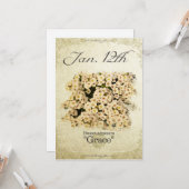 Verjaardag bloemen op 12 januari "Sweet Alyssum" Kaart (Voorkant / Achterkant in situ)