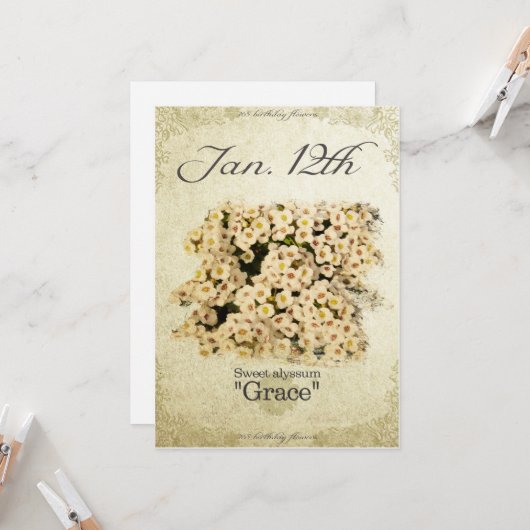 Verjaardag bloemen op 12 januari "Sweet Alyssum" Kaart (Voorkant / Achterkant in situ)