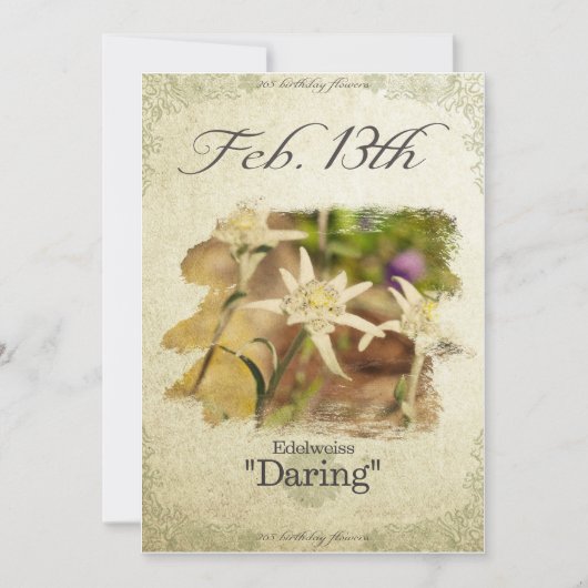 Verjaardag bloemen op 13 februari "Edelweiss" Kaart (Voorkant)