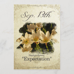 Verjaardag bloemen op 13 september "Zephyr bloem" Kaart