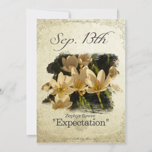 Verjaardag bloemen op 13 september "Zephyr bloem" Kaart (Voorkant)