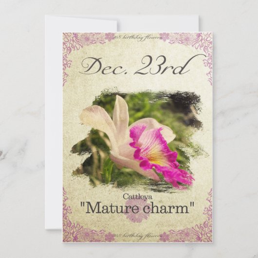 Verjaardag bloemen op 23 december "Cattleya" Kaart (Voorkant)