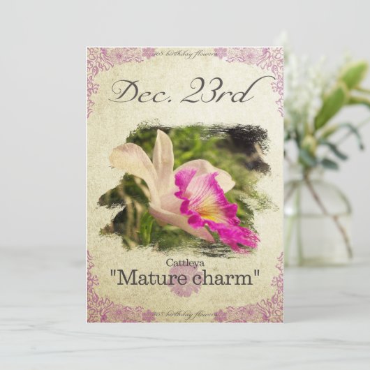 Verjaardag bloemen op 23 december "Cattleya" Kaart (Staand voorkant)