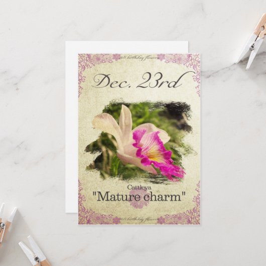 Verjaardag bloemen op 23 december "Cattleya" Kaart (Voorkant / Achterkant in situ)