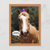 Verjaardag Briefkaart - Bess the Horse (Voorkant)