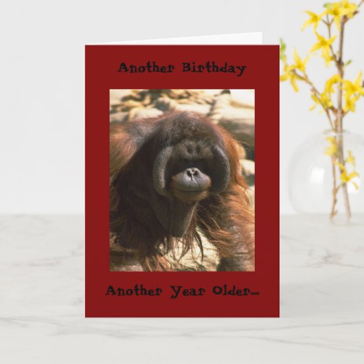 Verjaardag Broeder Kaart (Gele Bloem)