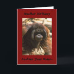 Verjaardag Broeder Kaart<br><div class="desc">Happy Birthday Brother</div>