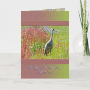 Verjaardag, broer, Sandhill Crane Bird Kaart