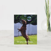 Verjaardag Bubble Dog Kaart (Voorkant)