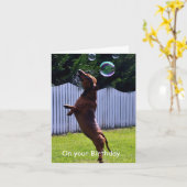 Verjaardag Bubble Dog Kaart (Gele Bloem)