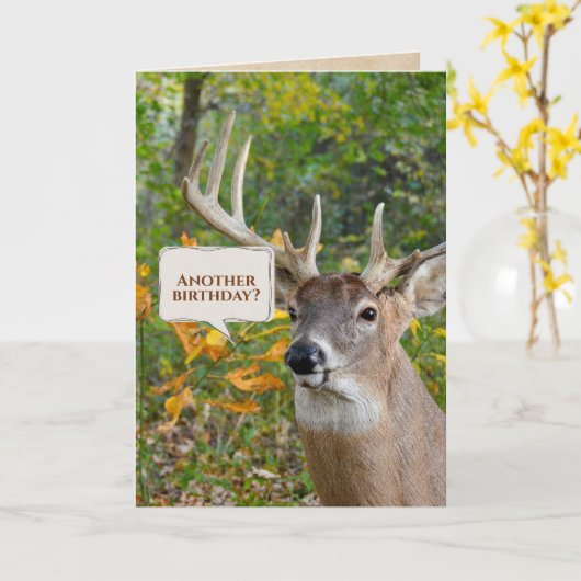 Verjaardag Buck in Bossen Kaart (Gele Bloem)