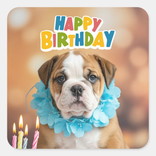 Verjaardag Bulldog Vierkante Sticker (Voorkant)