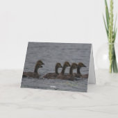 Verjaardag - Canadese Ganzen Kaart (Achterkant)