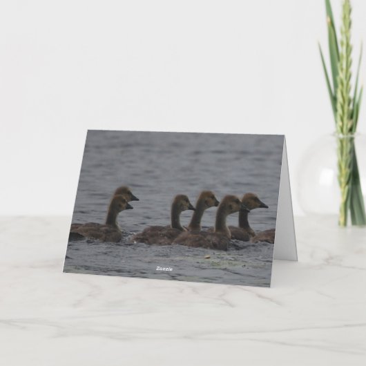 Verjaardag - Canadese Ganzen Kaart (Achterkant)