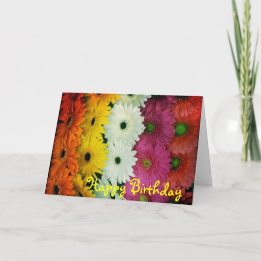 Verjaardag card~ Kleurrijke Gerbera Daisy Kaart (Voorkant)