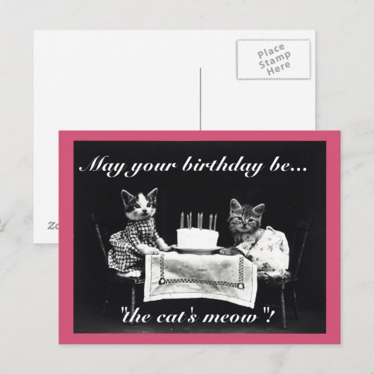 Verjaardag Cat's Meow Briefkaart (Voorkant / Achterkant)