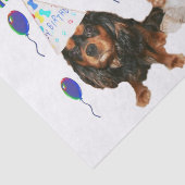 Verjaardag Cavalier King Charles Spaniels Tissuepapier (Detail)