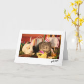 Verjaardag cavia's kaart (Gele Bloem)
