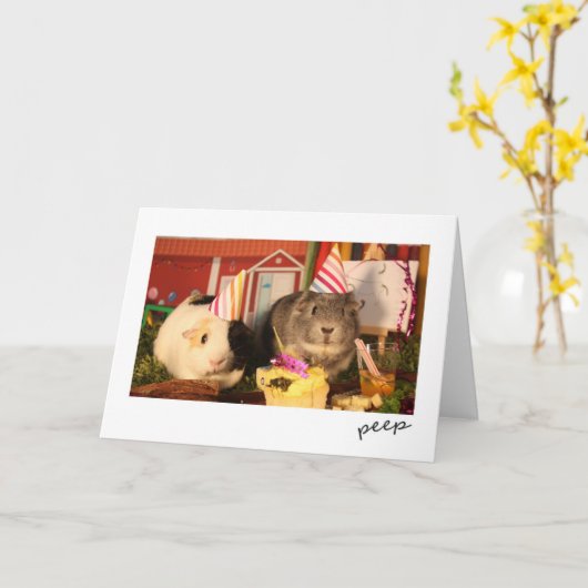 Verjaardag cavia's kaart (Gele Bloem)