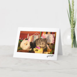 Verjaardag cavia's kaart