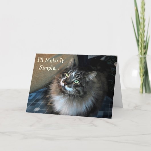Verjaardag chantage kat Verjaardag Kaart (Voorkant)