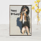 Verjaardag Chihuahua wenskaart Kaart (Gele Bloem)