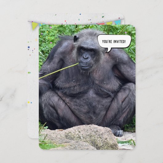 Verjaardag Chimpansee party uitnodiging (Voorkant / Achterkant)