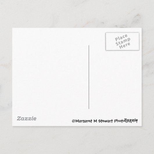 Verjaardag Chipmunk Briefkaart (Achterkant)