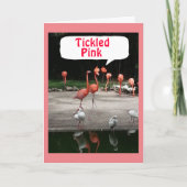 VERJAARDAG COMPLIMENT FLAMINGO'S ZIJN "GEKIETELD R KAART (Voorkant)