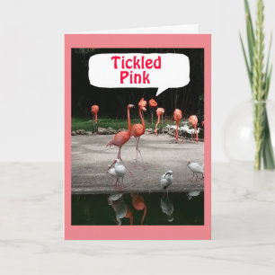 VERJAARDAG COMPLIMENT FLAMINGO'S ZIJN "GEKIETELD R KAART