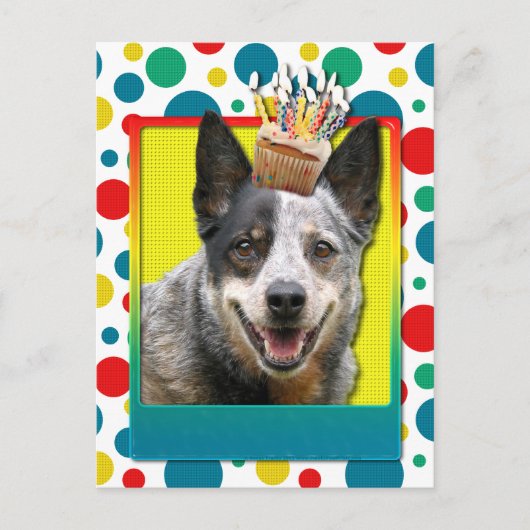 Verjaardag Cupcake - Australian Cattle Dog Briefkaart (Voorkant)