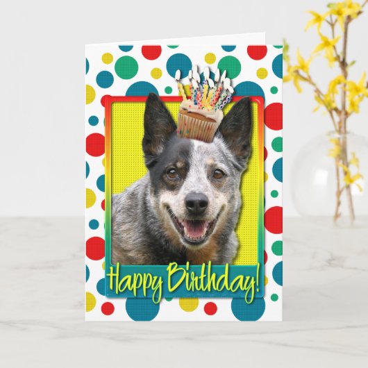 Verjaardag Cupcake - Australian Cattle Dog Kaart (Gele Bloem)