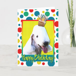 Verjaardag Cupcake - Bedlington Kaart