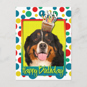 Verjaardag Cupcake - Berner Sennenhond Briefkaart