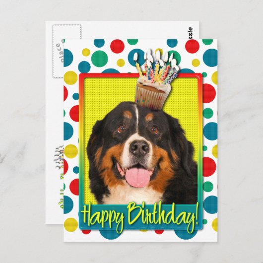 Verjaardag Cupcake - Berner Sennenhond Briefkaart (Voorkant / Achterkant)