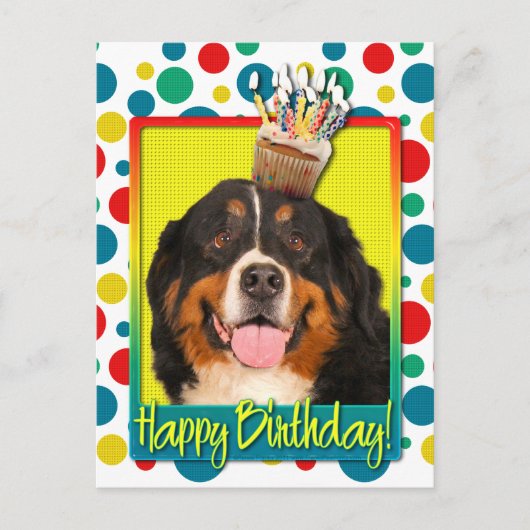 Verjaardag Cupcake - Berner Sennenhond Briefkaart (Voorkant)