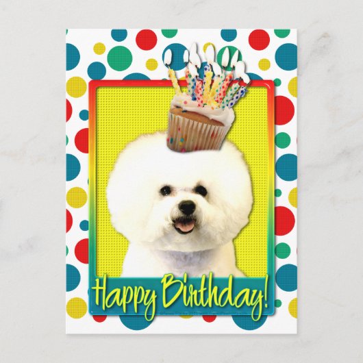 Verjaardag Cupcake - Bichon Frise Briefkaart (Voorkant)