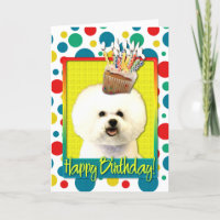 Verjaardag Cupcake - Bichon Frise