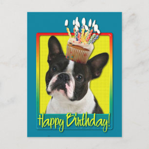 Verjaardag Cupcake - Boston Terrier Briefkaart
